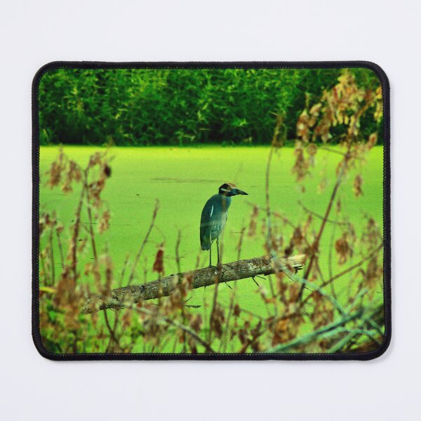 Item preview, Yellow-Crowned Night Heron  designed and sold by HisRuin.