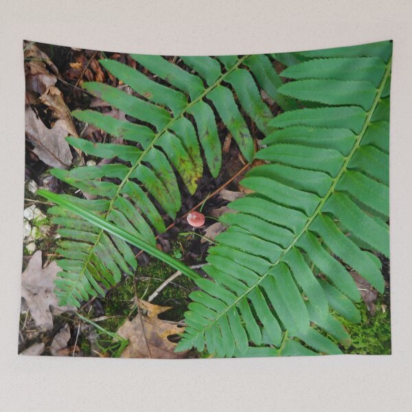 Item preview, Little mushroom nestled under fern leaves designed and sold by PowerfulPhotos.