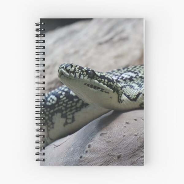 Item preview, Carpet python designed and sold by FallenTrickster.