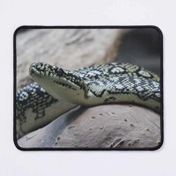 Item preview, Carpet python designed and sold by FallenTrickster.