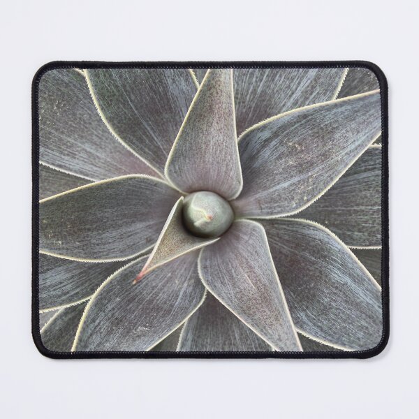 Item preview, Fifty Shades of Succulents designed and sold by AmazedGrace.