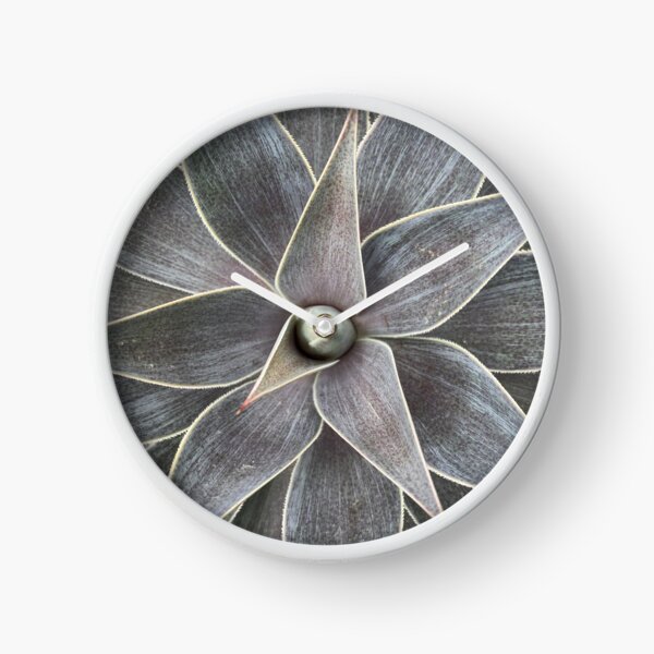 Fifty Shades of Succulents Clock