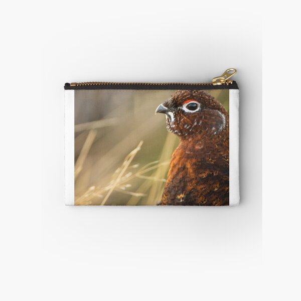 Item preview, Red Grouse designed and sold by kt-photography.
