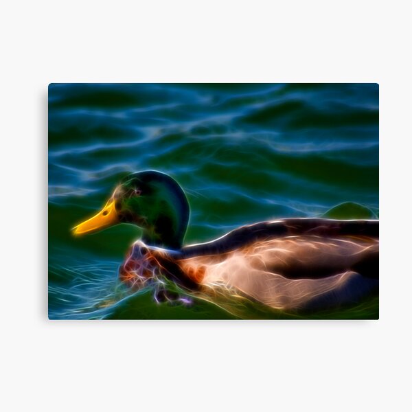 Fancy Duck Canvas Print