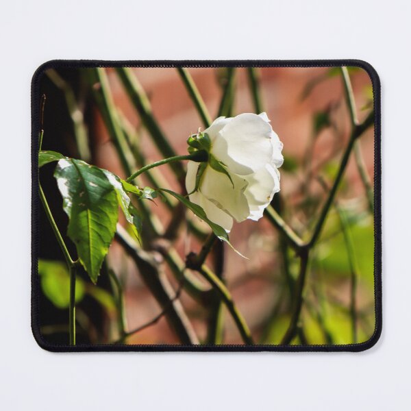 Item preview, Rose designed and sold by FallenTrickster.