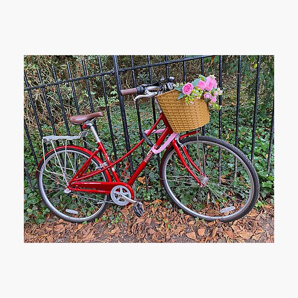 Red Bike with Flowers