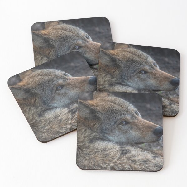 Item preview, Wolf portrait designed and sold by LadybugHome.
