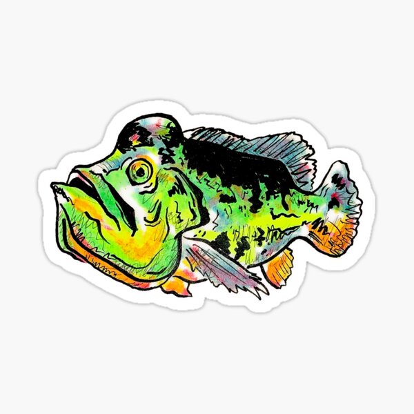 Peacock Bass Stickers for Sale, Free US Shipping