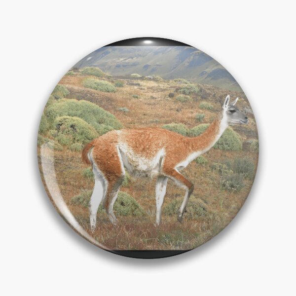 Item preview, Guanaco in Torres del Paine 	 designed and sold by drzgnpyu84.