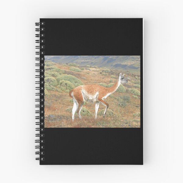 Item preview, Guanaco in Torres del Paine 	 designed and sold by drzgnpyu84.