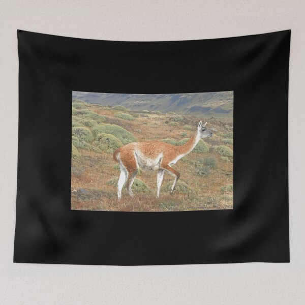 Item preview, Guanaco in Torres del Paine 	 designed and sold by drzgnpyu84.