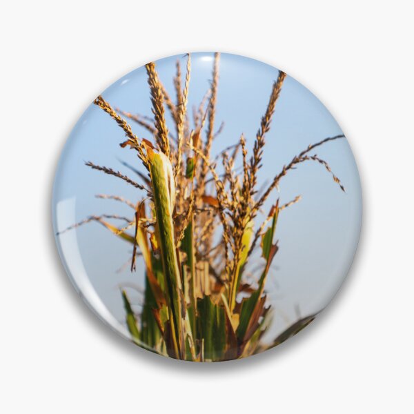 Item preview, Corn Stalk designed and sold by ZachCaraway.