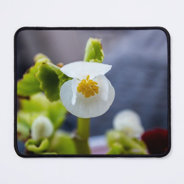 Item preview, Garden Plants  designed and sold by ZachCaraway.