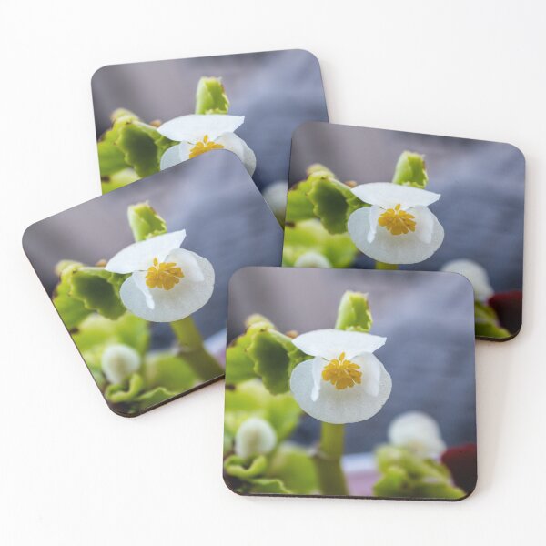 Item preview, Garden Plants  designed and sold by ZachCaraway.