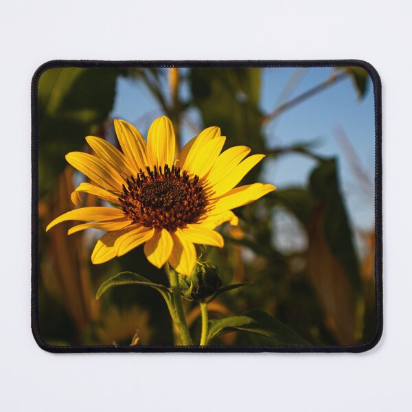 Item preview, Sun Yellow Flowers designed and sold by ZachCaraway.