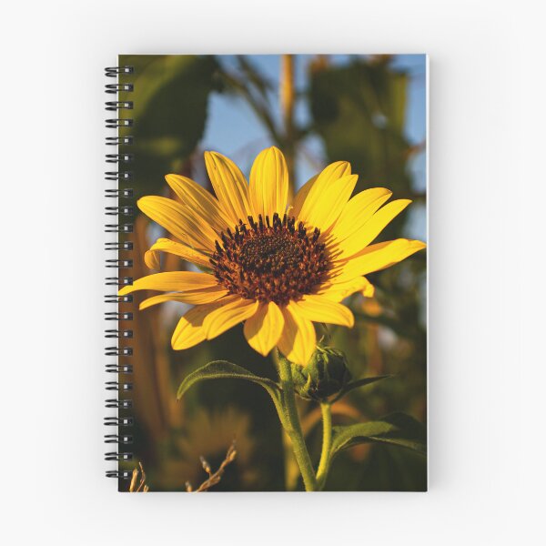Item preview, Sun Yellow Flowers  designed and sold by ZachCaraway.