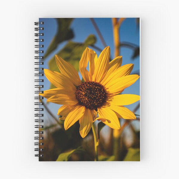 Item preview, Sun Yellow Flowers  designed and sold by ZachCaraway.