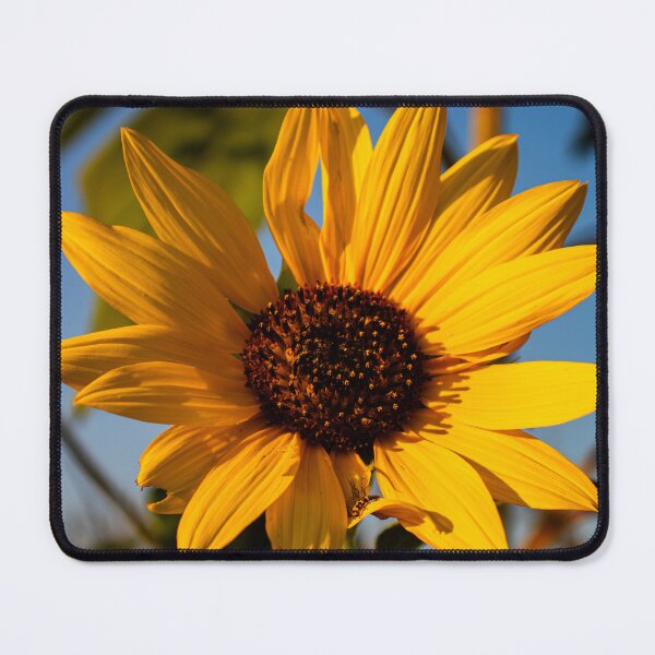 Item preview, Sun Yellow Flowers designed and sold by ZachCaraway.