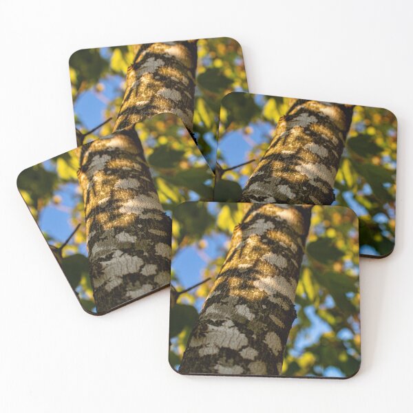 Item preview, Warn Tree Branchs designed and sold by ZachCaraway.