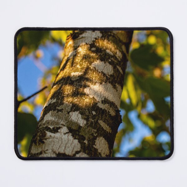 Item preview, Warn Tree Branchs designed and sold by ZachCaraway.