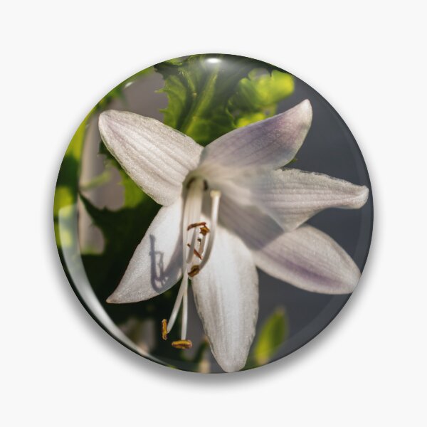 Item preview, Velvet Flowers designed and sold by ZachCaraway.