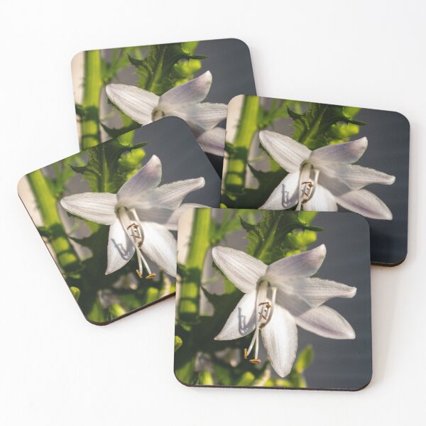 Item preview, Velvet Flowers designed and sold by ZachCaraway.