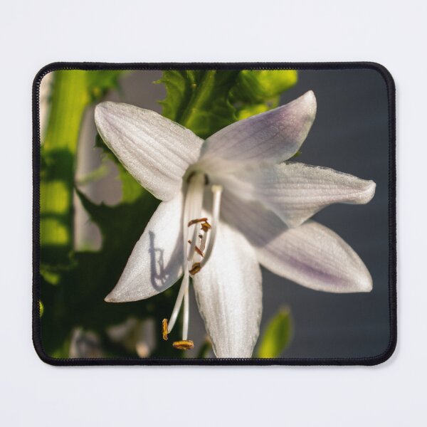 Item preview, Velvet Flowers designed and sold by ZachCaraway.