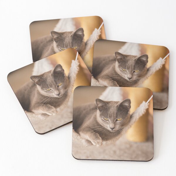 Item preview, cat lying in the hammock designed and sold by Bruno Mattos.