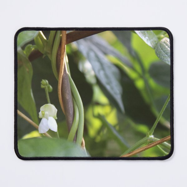 Item preview, Bean Stalk  designed and sold by HeathersHope.
