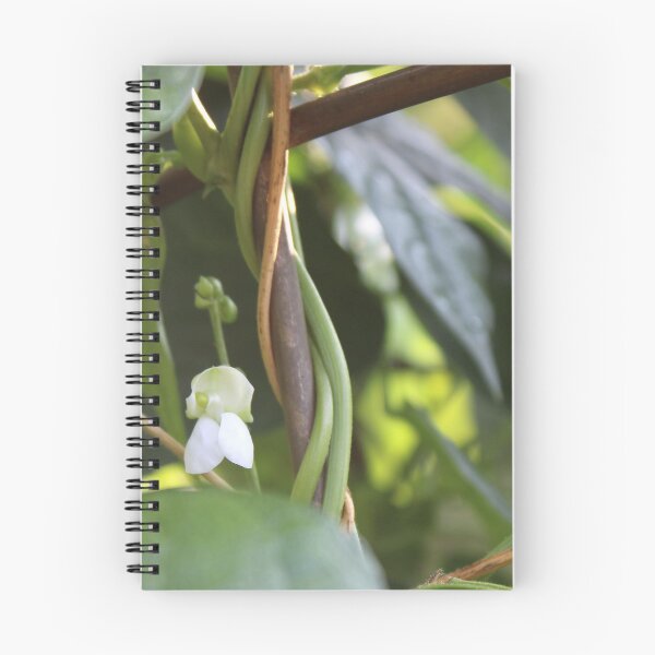 Item preview, Bean Stalk  designed and sold by HeathersHope.