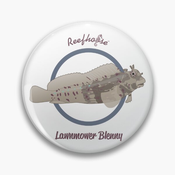 Item preview, Lawnmower Blenny designed and sold by KaplanCrypto.