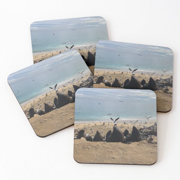 Item preview, sea ​​lions on the beach with seagulls designed and sold by Bruno Mattos.