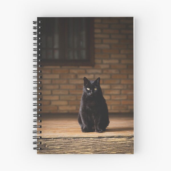 Item preview, gato preto sentado com parede de tijolos ao fundo designed and sold by Bruno Mattos.