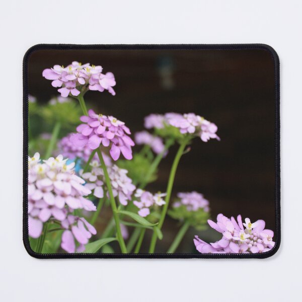 Item preview, Petite Purple designed and sold by HeathersHope.