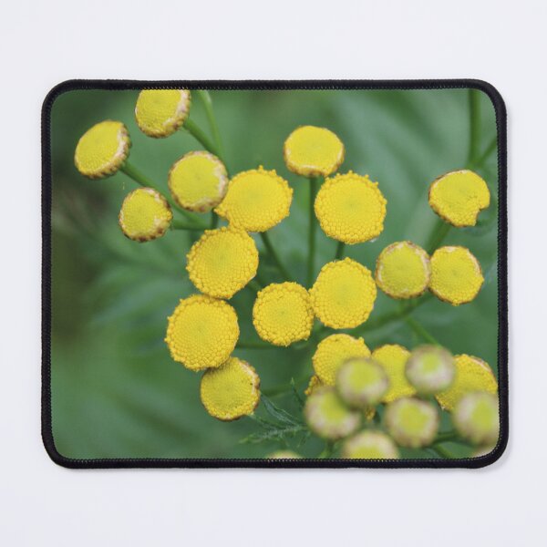 Item preview, Natures Polka Dots Blooming designed and sold by HeathersHope.