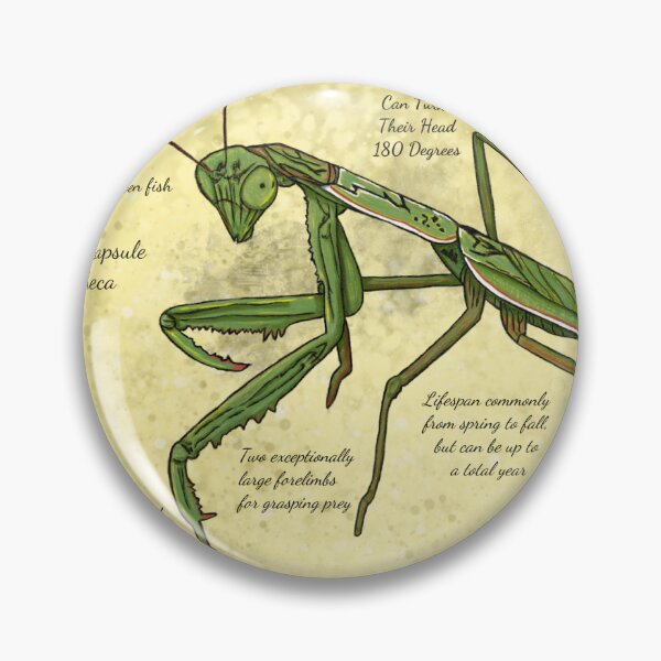Item preview, Praying Mantis Journal Page designed and sold by DragoniciPici.