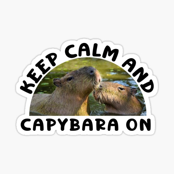 Set of stickers, badge with cute cartoon capybaras. Yellow background.  Vector illustration. 20248901 Vector Art at Vecteezy