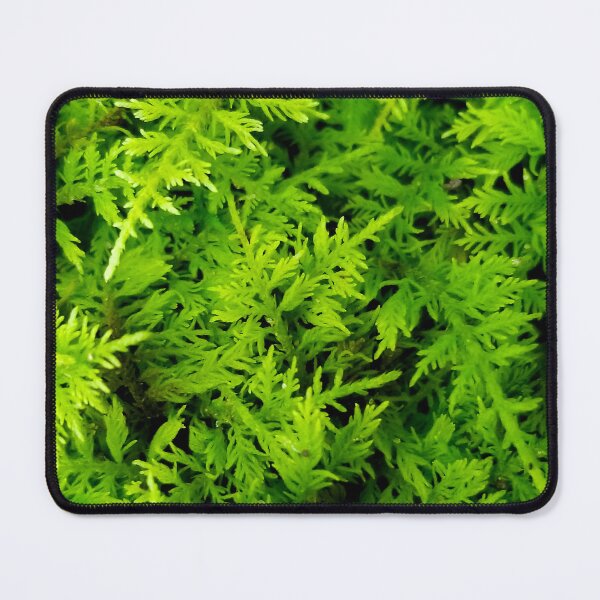 Item preview, Feathery Moss designed and sold by bjtomiko.