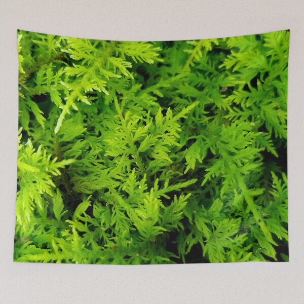 Item preview, Feathery Moss designed and sold by bjtomiko.
