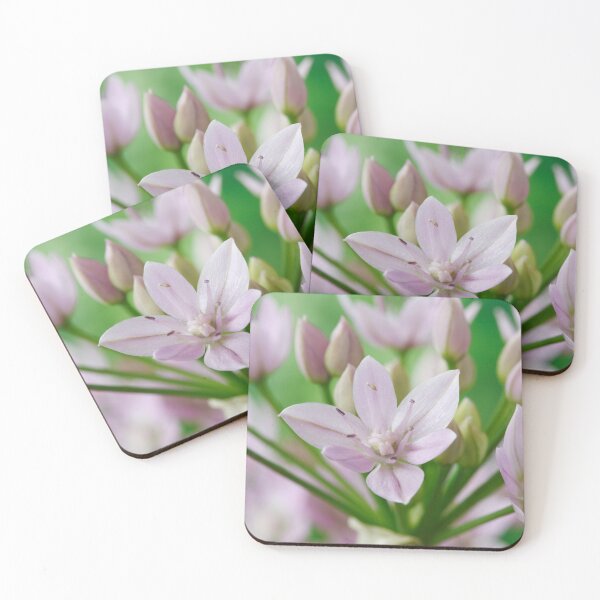 Item preview, Allium unifolium  American onion   designed and sold by Chris Burrows.
