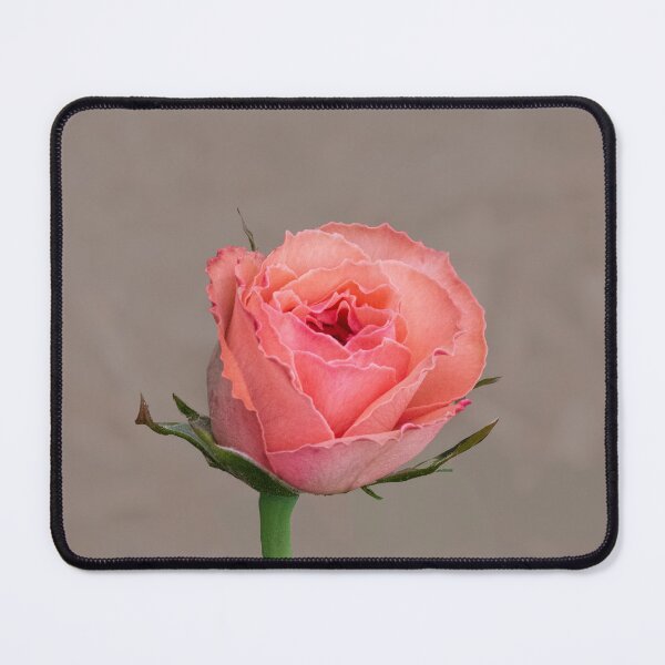 Item preview, Rosebud designed and sold by annasofia.