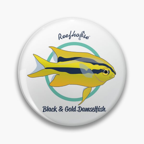 Item preview, Black and Gold Damselfish designed and sold by KaplanCrypto.