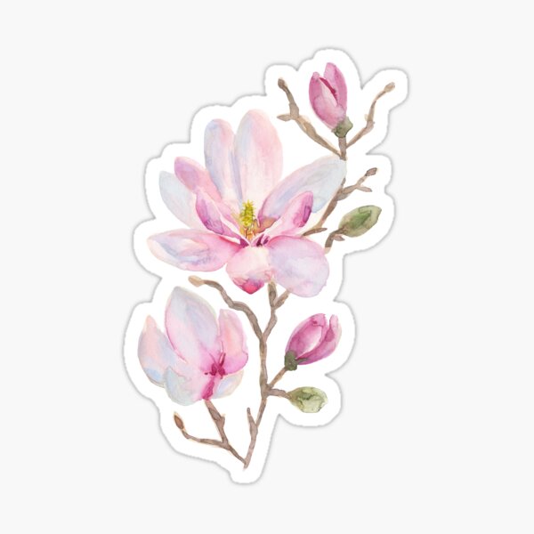 Crearreda - Sticker fenêtre - Sticker pour porte - Bloem de magnolia - Rose