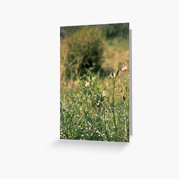 Item preview, Meadow designed and sold by limedragonfly.