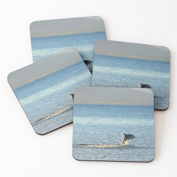 Item preview, resident bottlenose dolphin. waubs bay, bicheno, eastcoast tasmania. designed and sold by bodhiimages.