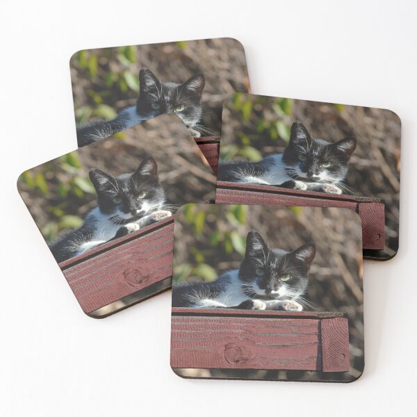 Item preview, Green Eye Cat Resting On Redwood Patio Roof designed and sold by DEC02.