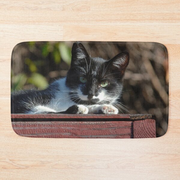 Item preview, Green Eye Cat Resting On Redwood Patio Roof designed and sold by DEC02.