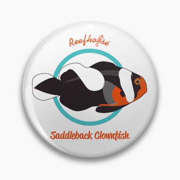 Item preview, Saddleback Clownfish designed and sold by KaplanCrypto.