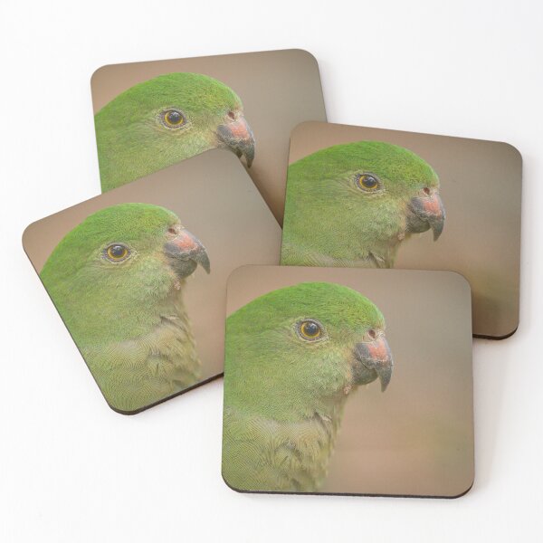 Item preview, Queen Parrot? designed and sold by CBoyle.