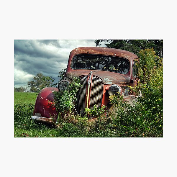 Item preview, Rust and Regrowth: An Old, Rusty Pontiac Car Sits Overgrown in a Field designed and sold by Amanda White.